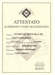 Riproduttrice selezionata