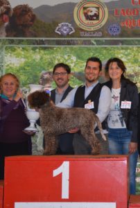 Campionessa Sociale 2015